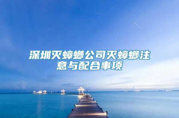 深圳灭蟑螂公司灭蟑螂注意与配合事项