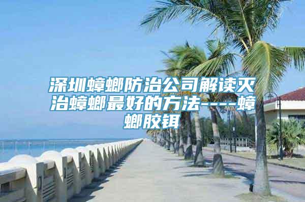 深圳蟑螂防治公司解读灭治蟑螂最好的方法----蟑螂胶铒