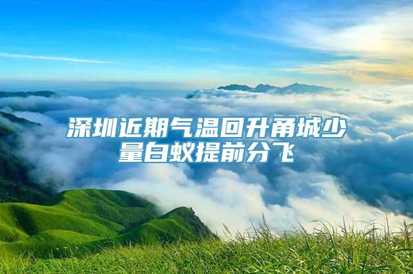 深圳近期气温回升甬城少量白蚁提前分飞