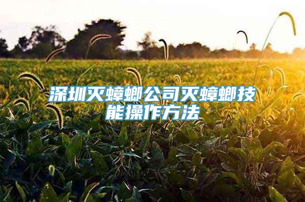 深圳灭蟑螂公司灭蟑螂技能操作方法