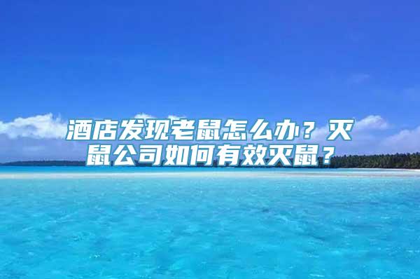 酒店发现老鼠怎么办？灭鼠公司如何有效灭鼠？