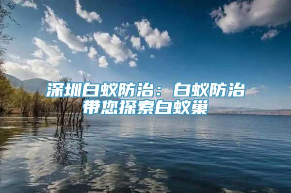 深圳白蚁防治：白蚁防治带您探索白蚁巢