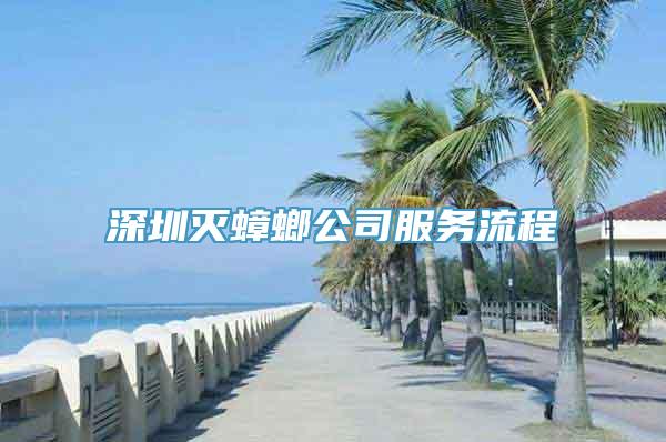 深圳灭蟑螂公司服务流程