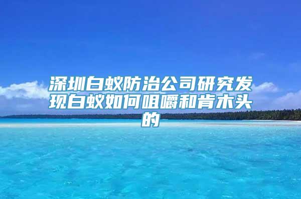 深圳白蚁防治公司研究发现白蚁如何咀嚼和肯木头的