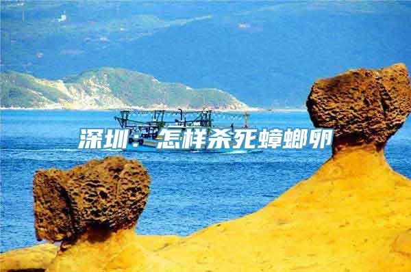 深圳：怎样杀死蟑螂卵