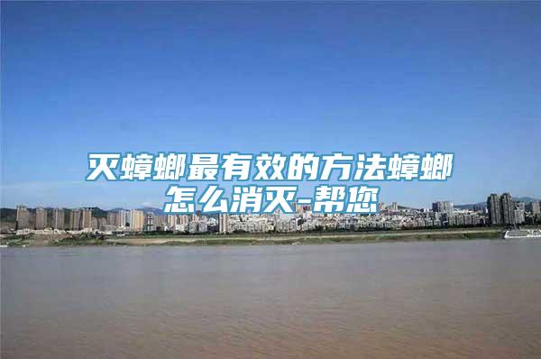 灭蟑螂最有效的方法蟑螂怎么消灭-帮您