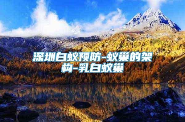 深圳白蚁预防-蚁巢的架构-乳白蚁巢
