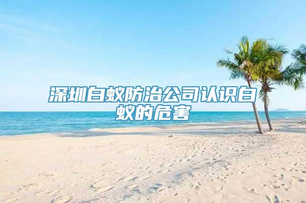 深圳白蚁防治公司认识白蚁的危害