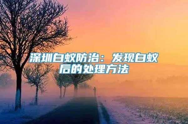 深圳白蚁防治：发现白蚁后的处理方法