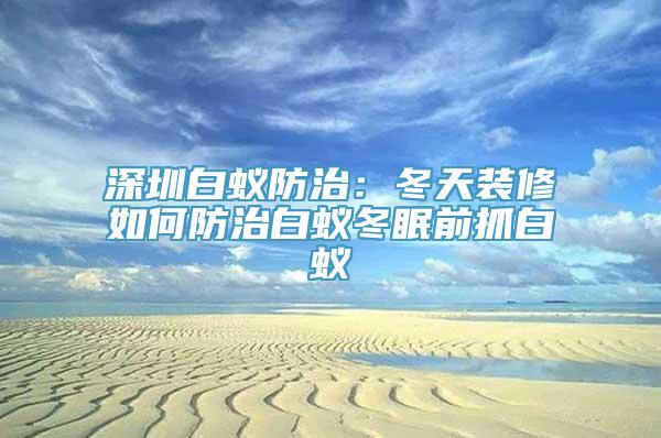 深圳白蚁防治：冬天装修如何防治白蚁冬眠前抓白蚁