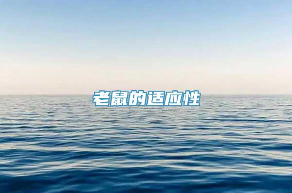 老鼠的适应性