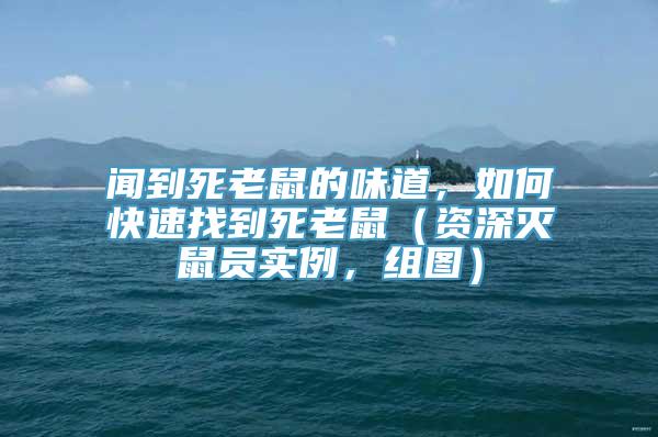 闻到死老鼠的味道，如何快速找到死老鼠（资深灭鼠员实例，组图）