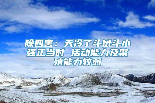 除四害：天冷了斗鼠斗小强正当时 活动能力及繁殖能力较弱