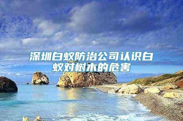 深圳白蚁防治公司认识白蚁对树木的危害