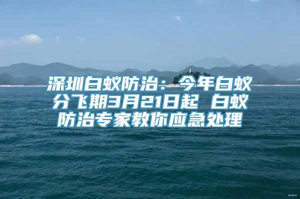 深圳白蚁防治：今年白蚁分飞期3月21日起 白蚁防治专家教你应急处理