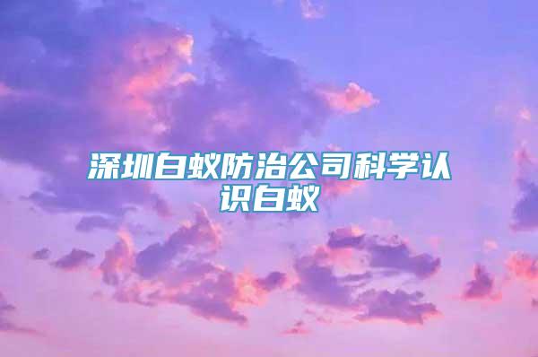 深圳白蚁防治公司科学认识白蚁