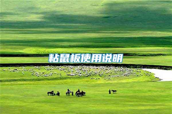 粘鼠板使用说明