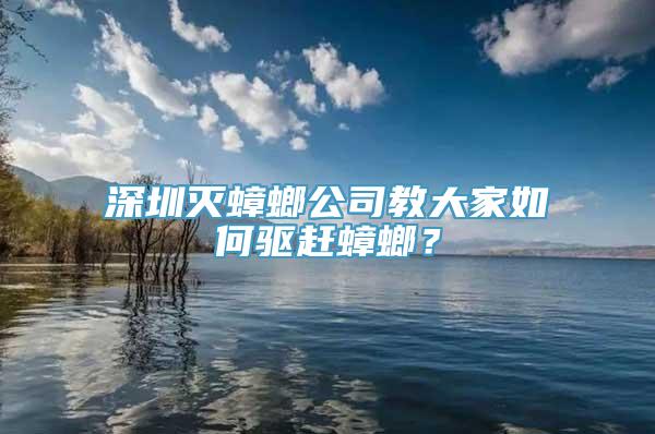 深圳灭蟑螂公司教大家如何驱赶蟑螂？