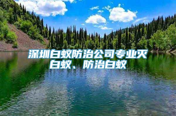 深圳白蚁防治公司专业灭白蚁、防治白蚁