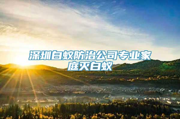 深圳白蚁防治公司专业家庭灭白蚁