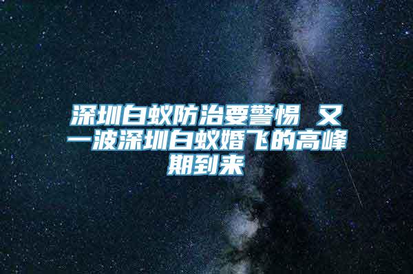 深圳白蚁防治要警惕 又一波深圳白蚁婚飞的高峰期到来