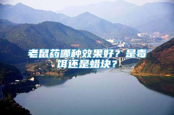 老鼠药哪种效果好？是毒饵还是蜡块？