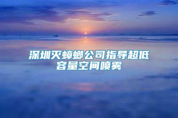 深圳灭蟑螂公司指导超低容量空间喷雾