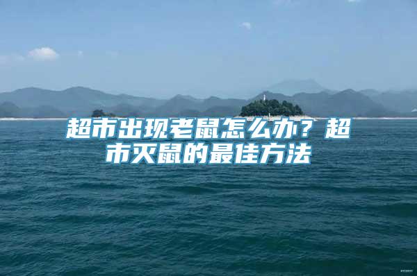 超市出现老鼠怎么办？超市灭鼠的最佳方法