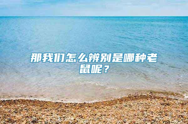 那我们怎么辨别是哪种老鼠呢？