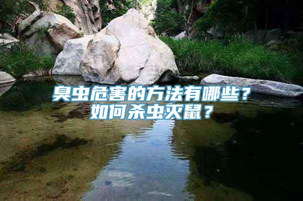 臭虫危害的方法有哪些？如何杀虫灭鼠？