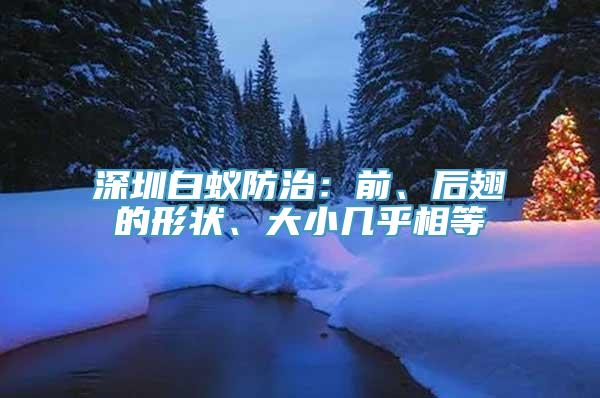 深圳白蚁防治：前、后翅的形状、大小几乎相等