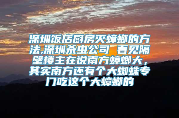 深圳饭店厨房灭蟑螂的方法,深圳杀虫公司 看见隔壁楼主在说南方蟑螂大，其实南方还有个大蜘蛛专门吃这个大蟑螂的