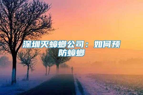 深圳灭蟑螂公司：如何预防蟑螂