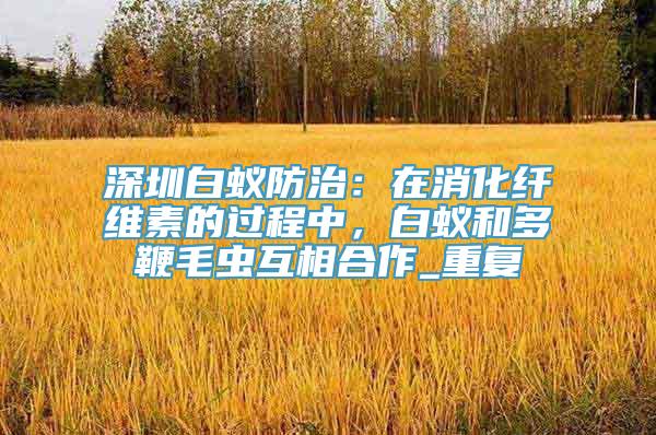 深圳白蚁防治：在消化纤维素的过程中，白蚁和多鞭毛虫互相合作_重复