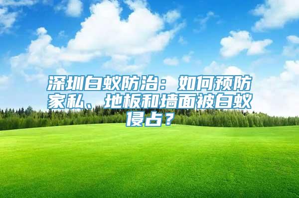 深圳白蚁防治：如何预防家私、地板和墙面被白蚁侵占？