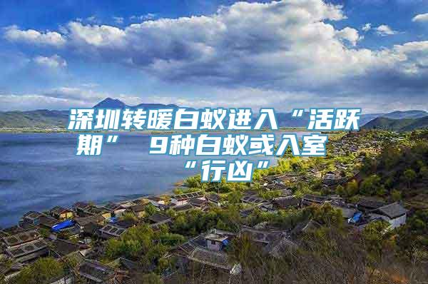 深圳转暖白蚁进入“活跃期” 9种白蚁或入室“行凶”