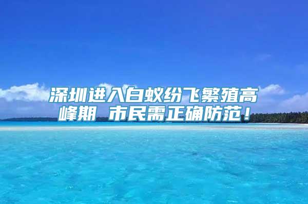 深圳进入白蚁纷飞繁殖高峰期 市民需正确防范！