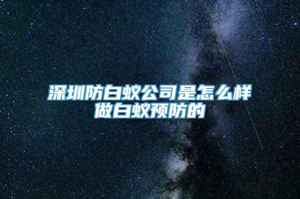 深圳防白蚁公司是怎么样做白蚁预防的