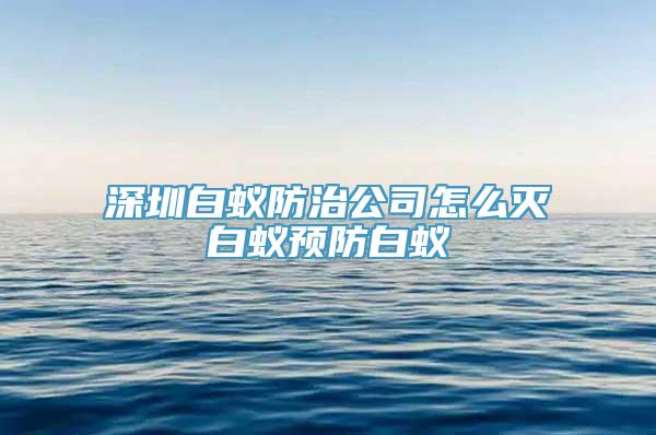 深圳白蚁防治公司怎么灭白蚁预防白蚁