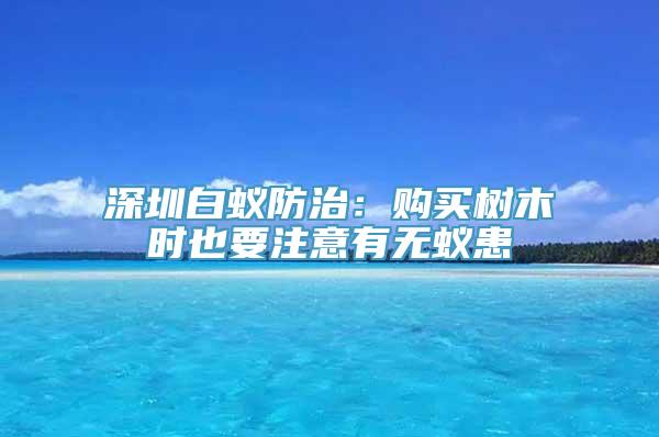 深圳白蚁防治：购买树木时也要注意有无蚁患