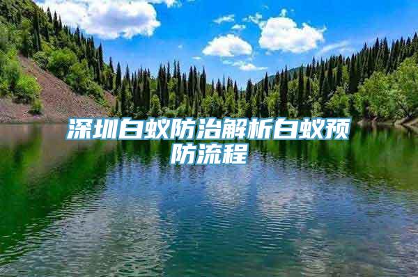 深圳白蚁防治解析白蚁预防流程