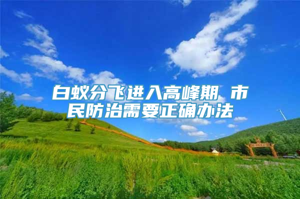 白蚁分飞进入高峰期 市民防治需要正确办法