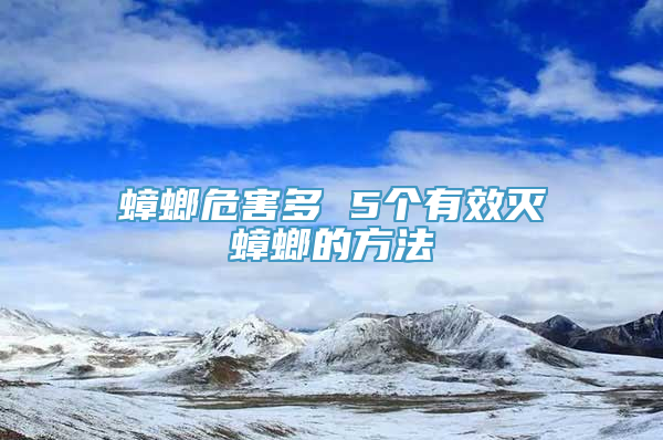 蟑螂危害多 5个有效灭蟑螂的方法