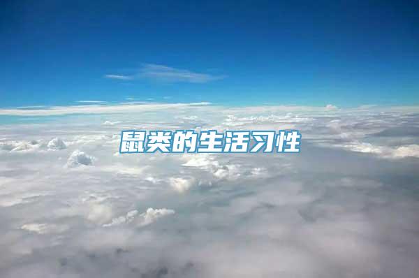 鼠类的生活习性