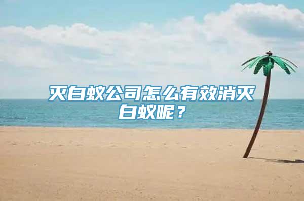 灭白蚁公司怎么有效消灭白蚁呢？