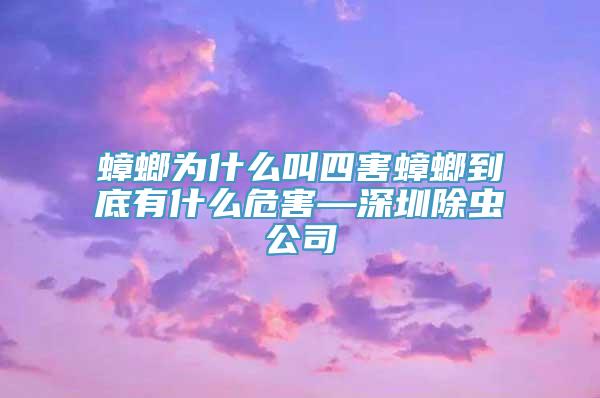 蟑螂为什么叫四害蟑螂到底有什么危害—深圳除虫公司