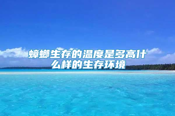 蟑螂生存的温度是多高什么样的生存环境