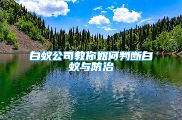 白蚁公司教你如何判断白蚁与防治