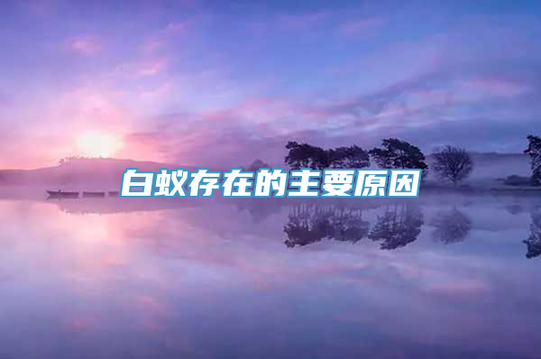 白蚁存在的主要原因