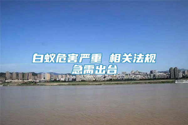 白蚁危害严重 相关法规急需出台